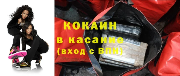 хмурый Белокуриха