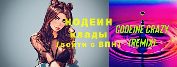 хмурый Белокуриха