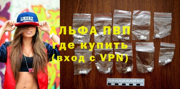 хмурый Белокуриха