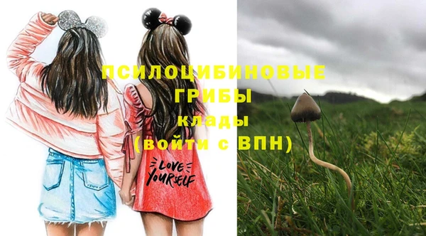 хмурый Белокуриха