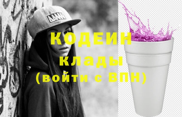 хмурый Белокуриха