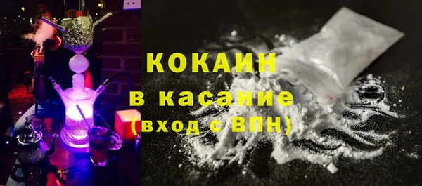 хмурый Белокуриха