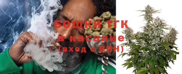 хмурый Белокуриха