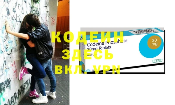 хмурый Белокуриха