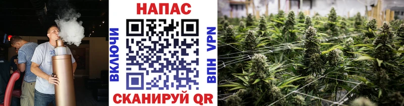наркота  Облучье  Бошки Шишки индика 